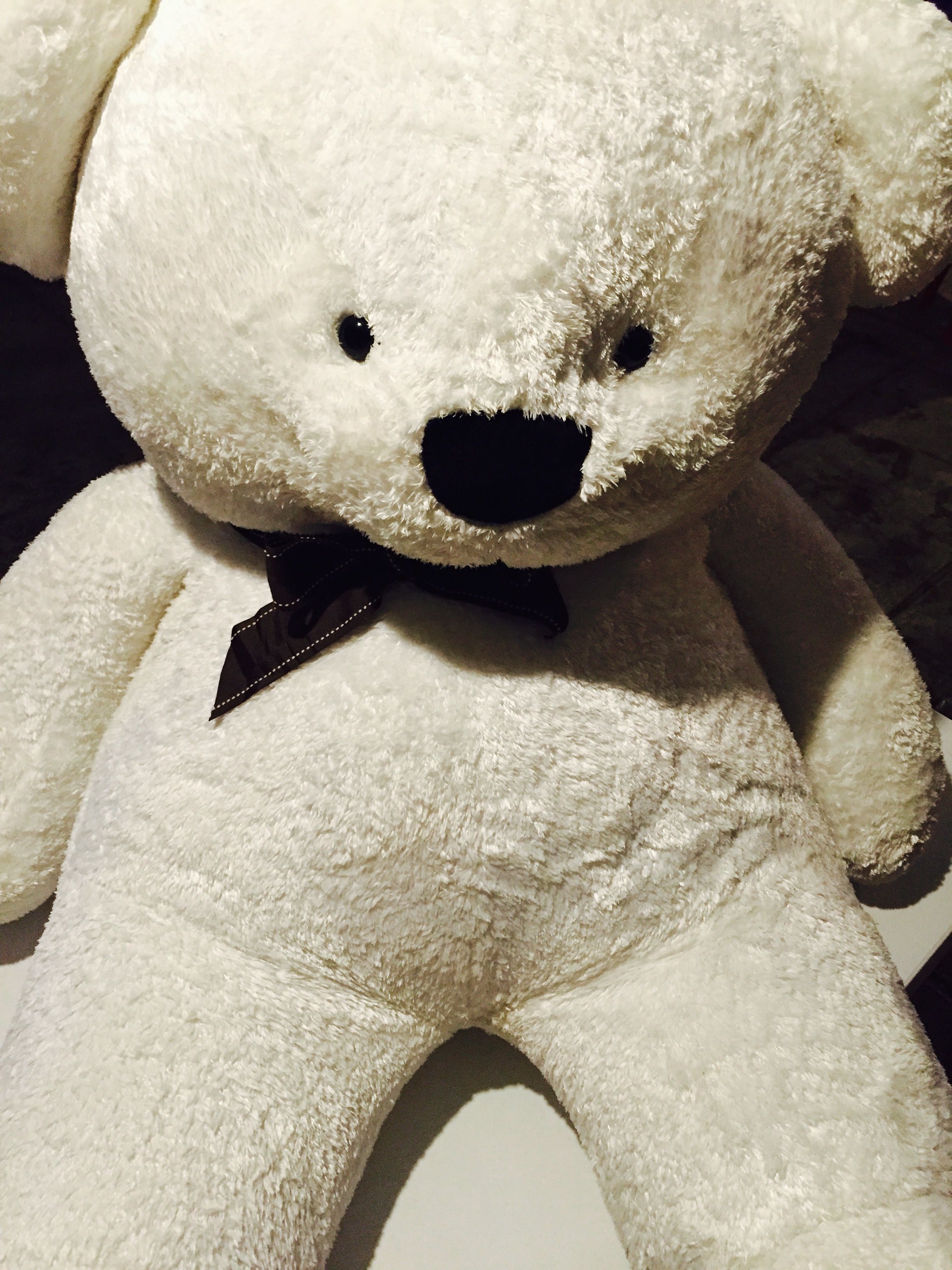 Osito de peluche blanco con pajarita